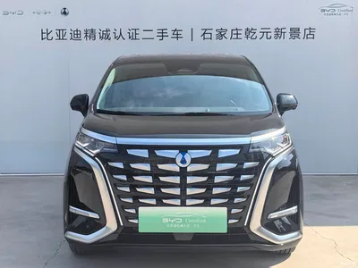 2022 Denza D9 DM-i 970 AWD Flagship, фото 2, лот 10449822