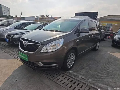 2017 Buick GL8 25S Luxury China V, фото 2, лот 10259700