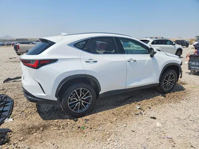 2026 LEXUS NX 350H PREMIUM, фото 3, лот 10900218