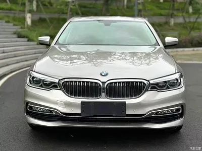 2018 BMW 5 Series Facelift 530Li Exclusive Luxury Package, фото 4, лот 11011930