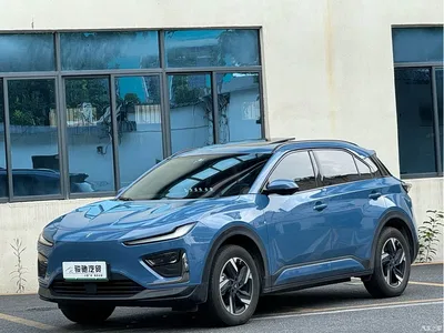 2023 Nezha Auto Nezha X 500, фото 1, лот 11155220
