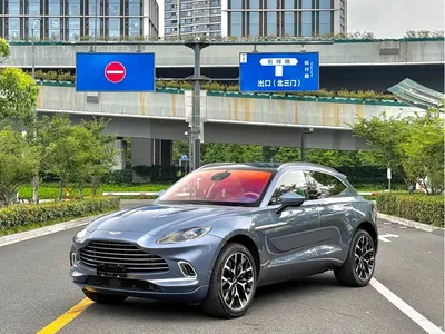 2021 Aston Martin DBX 4.0T V8 Silk Road Splendor, фото 1, лот 10241178
