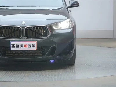 2021 BMW X2 sDrive25i M Sport Package, фото 3, лот 10475685
