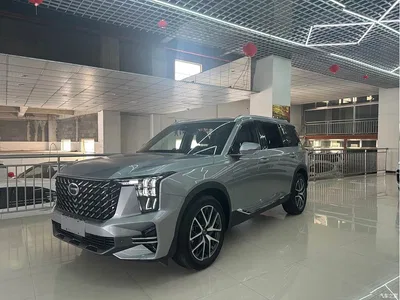 2024 GAC Trumpchi Trumpchi GS8 Navigator Series 2.0TGDI 2WD Luxury Smart Connect Edition, фото 1, лот 11136634