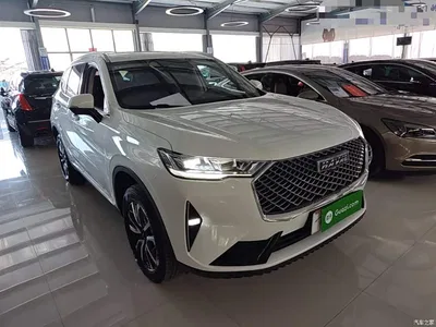 2022 Haval H6 3rd Gen 1.5T Auto 2WD Max, фото 4, лот 10286936