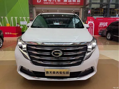 2020 GAC Trumpchi Trumpchi M8 390T Prestige, фото 2, лот 10414217