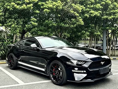 2019 Ford Mustang 2.3L EcoBoost, фото 2, лот 10296531