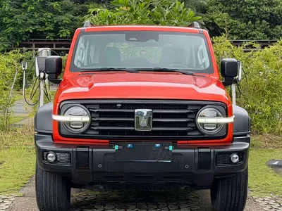 2021 Tank 300 Off-road Version 2.0T Conqueror, фото 2, лот 10344379
