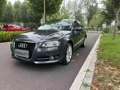 2010 Audi A3 (Import) Sportback 1.4T Luxury Model, фото 3, лот 10468521
