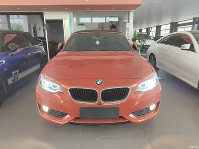 2015 BMW 2 Series (Import) 218i Convertible Coupe, фото 3, лот 10471422