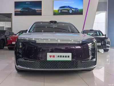 2025 Zunjie S800 Model Pure Electric Starlight Premium Edition 5-Seater, фото 2, лот 10458468