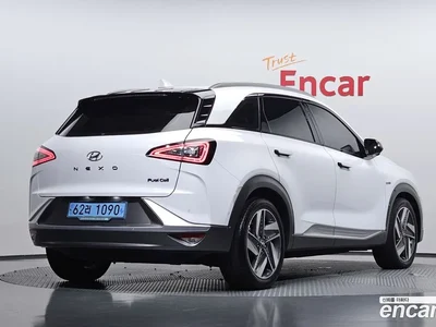 2019 Hyundai Nexo Premium, фото 1, лот 10042102