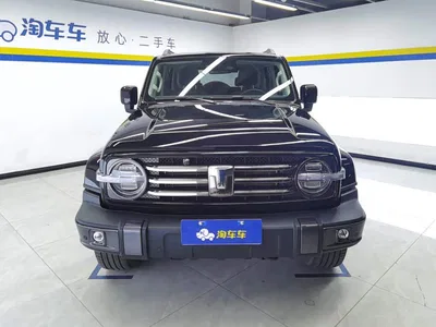 2023 Tank 300 Urban Edition 2.0T Very Stylish, фото 2, лот 10449906