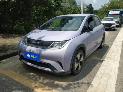 2023 BYD Dolphin 420km Freedom Edition, фото 1, лот 10251138