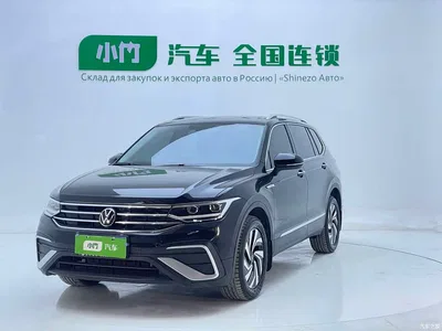 2023 Volkswagen Tiguan L 280TSI 2WD Trend Limited Edition, фото 1, лот 10415848