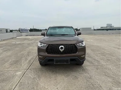 2021 Great Wall Pao 2.0T Commercial Edition Manual Diesel 2WD Elite Long Box GW4D20M, фото 2, лот 10246120