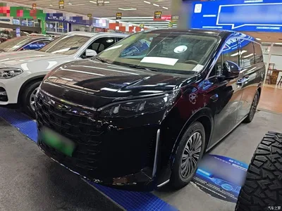 2025 BYD Xia DM-i 1.5T 180km Surpass Edition, фото 1, лот 11179860