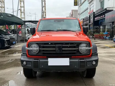 2021 Tank 300 Off-road Edition 2.0T Challenger, фото 2, лот 10344558