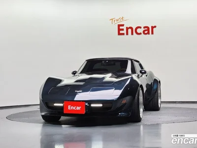 1979 Chevrolet Corvette Convertible, фото 3, лот 10119822