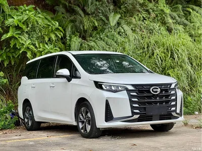 2023 GAC Trumpchi Trumpchi M6 PRO 270T DCT Luxury Edition, фото 3, лот 11548489