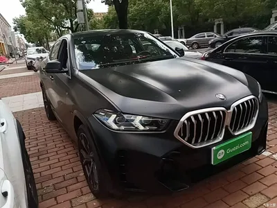 2023 BMW X6 xDrive40i Premium M Sport Package, фото 4, лот 10670786