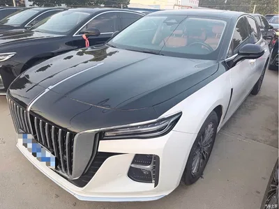 2023 Hongqi H5 2.0T Auto Smart Connect Flag Comfort, фото 1, лот 10448745