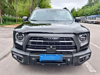 2024 Haval Big Dog 2.0T DCT Chinese Rural Dog Edition, фото 1, лот 10361541