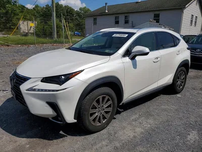 2019 LEXUS NX 300 BASE, фото 1, лот 10904530
