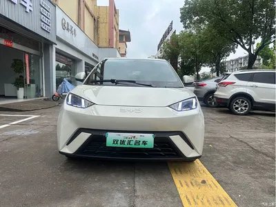 2025 BYD Seagull Smart Drive Edition 305km Freedom Version, фото 2, лот 10253400