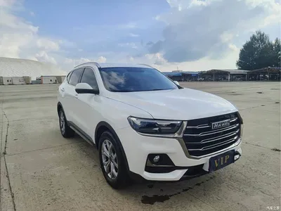 2021 Haval H6 Model National Trend Edition 1.5T Auto Champion, фото 3, лот 10283458