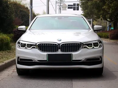 2019 BMW 5 Series New Energy Facelift 530Le Luxury Package, фото 2, лот 10473913