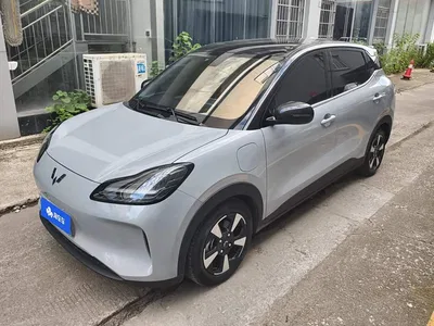 2024 Wuling Motors Wuling Binguo PLUS 510km Range 5-seater, фото 1, лот 10836437