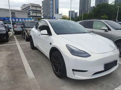 2024 Tesla Model Y Rear-Wheel Drive Version, фото 2, лот 10405181