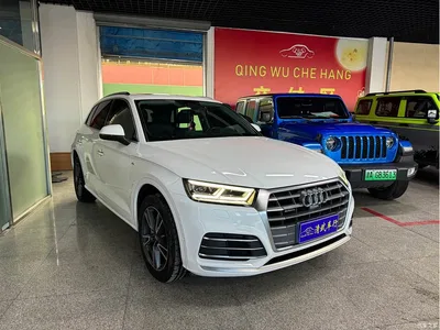 2020 Audi Q5L 45 TFSI Exclusive Fashion, фото 3, лот 10239607