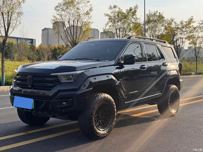 2024 Tank 400 New Energy Hi4-T Off-Road Edition, фото 1, лот 10828167