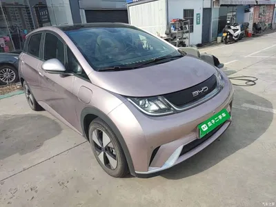2023 BYD Dolphin 420km Fashion Edition, фото 4, лот 10259332