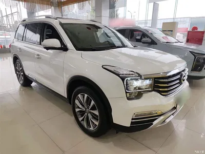 2017 GAC Trumpchi Trumpchi GS8 320T 2WD Luxury Smart Connect (7-seater), фото 4, лот 10426185