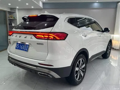 2023 Haval H6 National Trend Edition 1.5T Automatic Champion, фото 3, лот 10282205