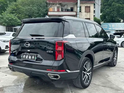 2024 GAC Trumpchi Trumpchi GS8 Navigator Series 2.0TGDI 2WD Luxury Smart Connect Edition, фото 4, лот 10804699
