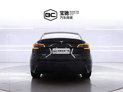 2025 Tesla Model Y Rear-Wheel Drive, фото 4, лот 11459740