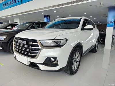 2021 Haval H6 Model National Trend Edition 1.5T Auto Champion, фото 2, лот 10284160