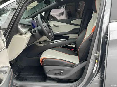 2021 BYD Dolphin Model 405km Fashion Edition, фото 4, лот 10383355