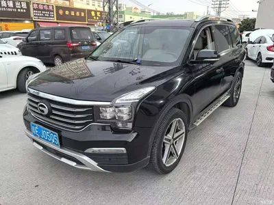 2017 GAC Trumpchi Trumpchi GS8 320T 2WD Luxury Smart Connect (7-seater), фото 1, лот 10415993