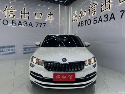 2022 Škoda Karoq TSI280 Premium Edition, фото 2, лот 10349413