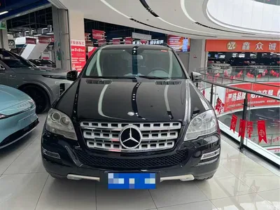 2010 Mercedes-Benz M-Class ML 300 4MATIC, фото 2, лот 10261402