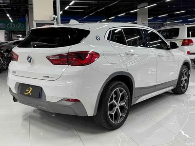 2019 BMW X2 (Import) sDrive20i M Off-Road Package China VI, фото 4, лот 11564646