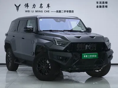 2023 Mengshi 917 Extended Range Base Version, фото 3, лот 11645965