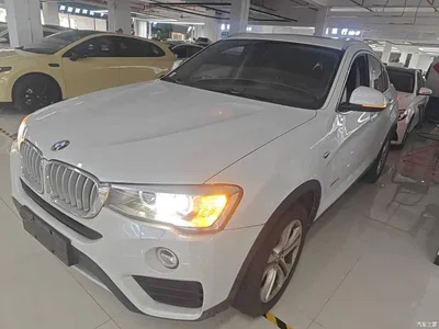 2014 BMW X4 xDrive28i Leading Edition, фото 1, лот 10476902