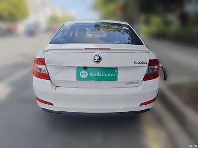 2017 Škoda Octavia 1.6L Automatic Pioneer Edition, фото 4, лот 10347954