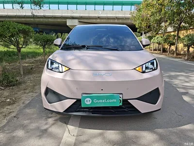 2025 BYD Seagull Smart Drive Edition 305km Freedom Version, фото 3, лот 10260129